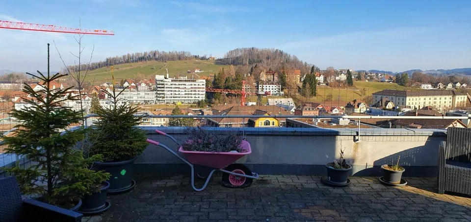 Schöne geräumige 3.5-Zimmerwohnung mit einer grossen Terrasse