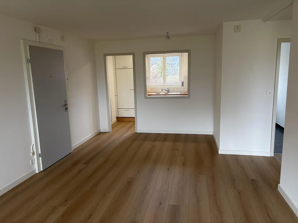 Neu renovierte 4.5 Zimmer Wohnung, mit traumhafter Aussicht ins Grüne