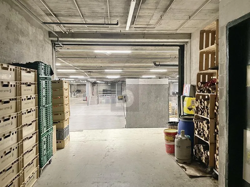 VIEL PLATZ, AN ZENTRALER LAGE