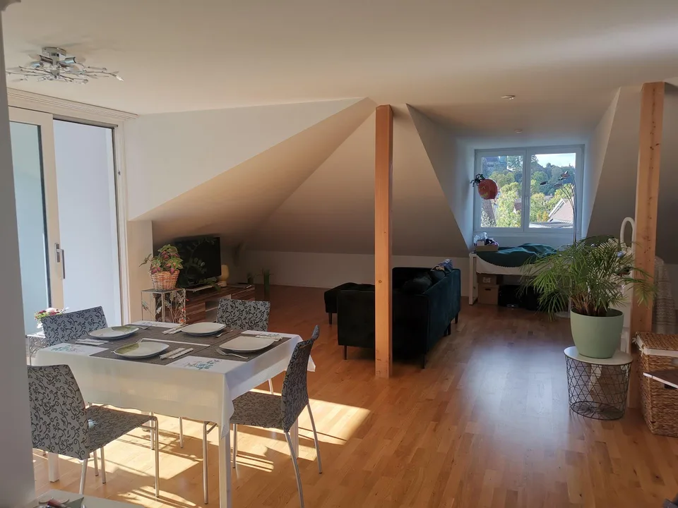 zentrale Dachwohnung zwischen Emme und Bahnhof