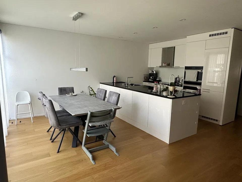Moderne 3,5 Zimmer Wohnung mit Südwest-Balkon nahe Stadt und Rhein