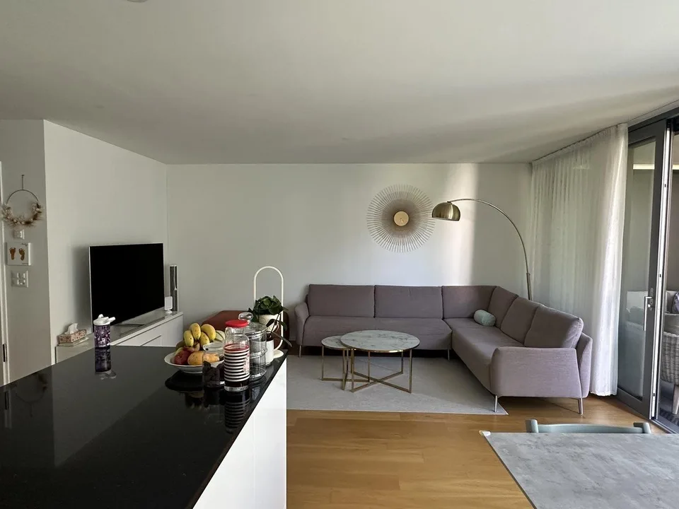 Moderne 3,5 Zimmer Wohnung mit Südwest-Balkon nahe Stadt und Rhein