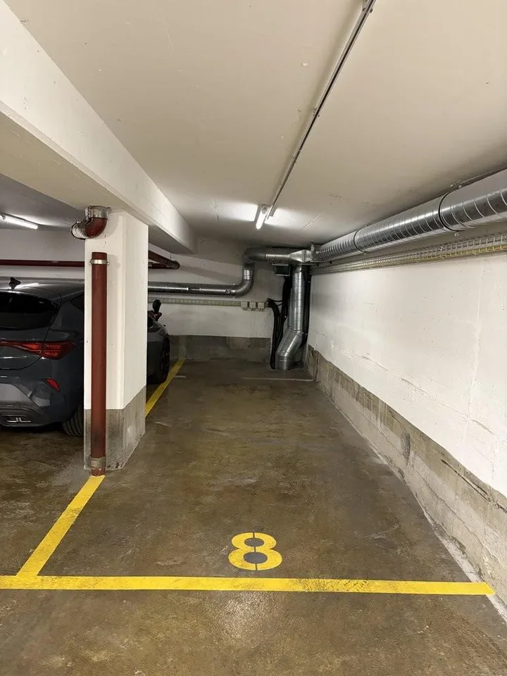 Place de parking au centre-ville de Genève