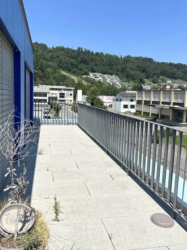 Exklusive Loftwohnung mit grosser Terrasse - Wohnen mit Industrie-Chic