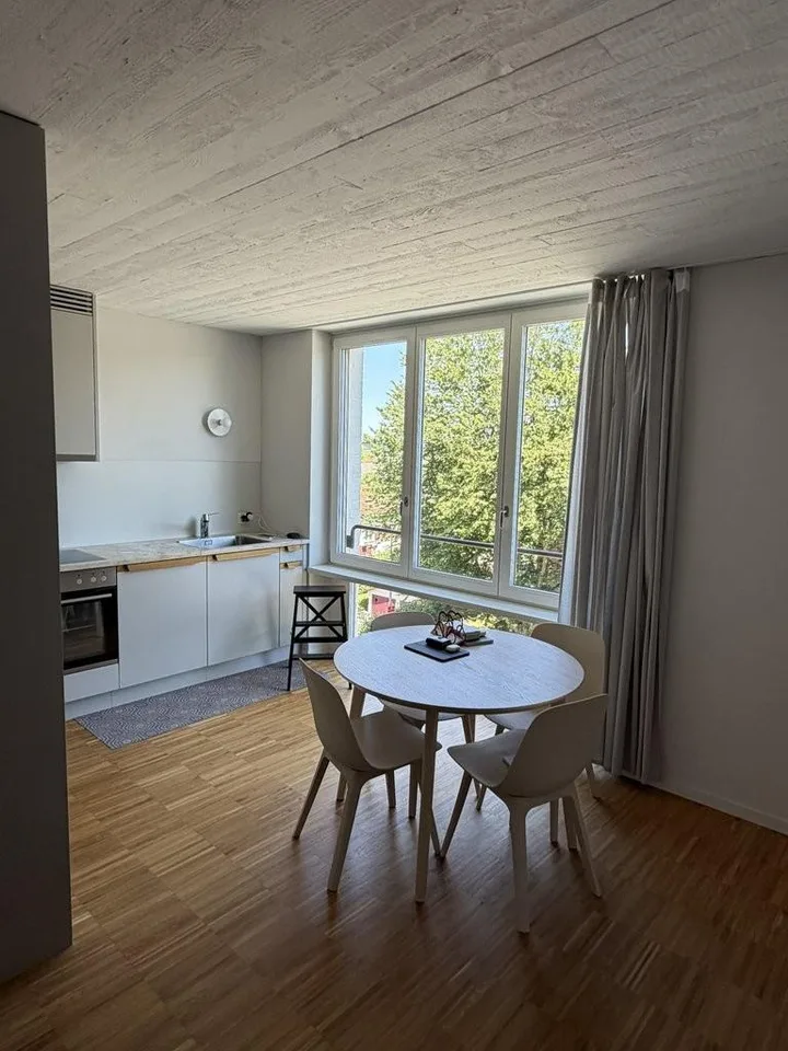 Suchen Sie eine moderne Wohnung mit hohem Ausbaustandard?