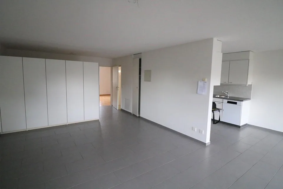 Bel appartement de 3½ pièces / Grosszügige 3½-Zimmerwohnung
