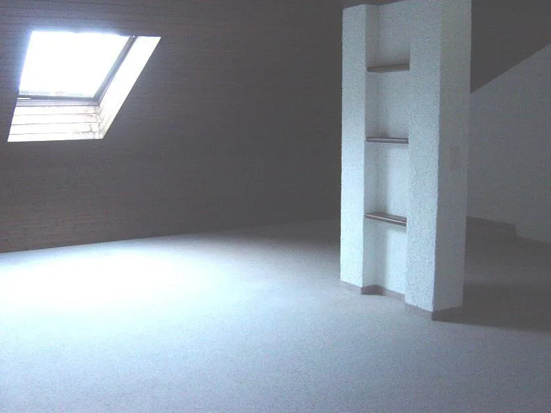 2.5-Zimmer-Wohnung mit Cheminée in Bassersdorf