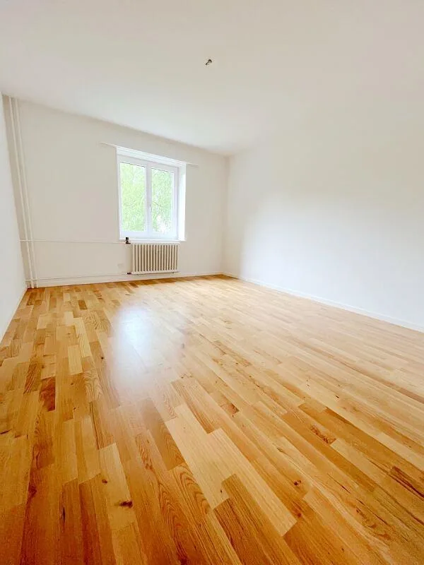 Gemütliche Wohnung an ruhiger Lage nahe des Rheinfalls
