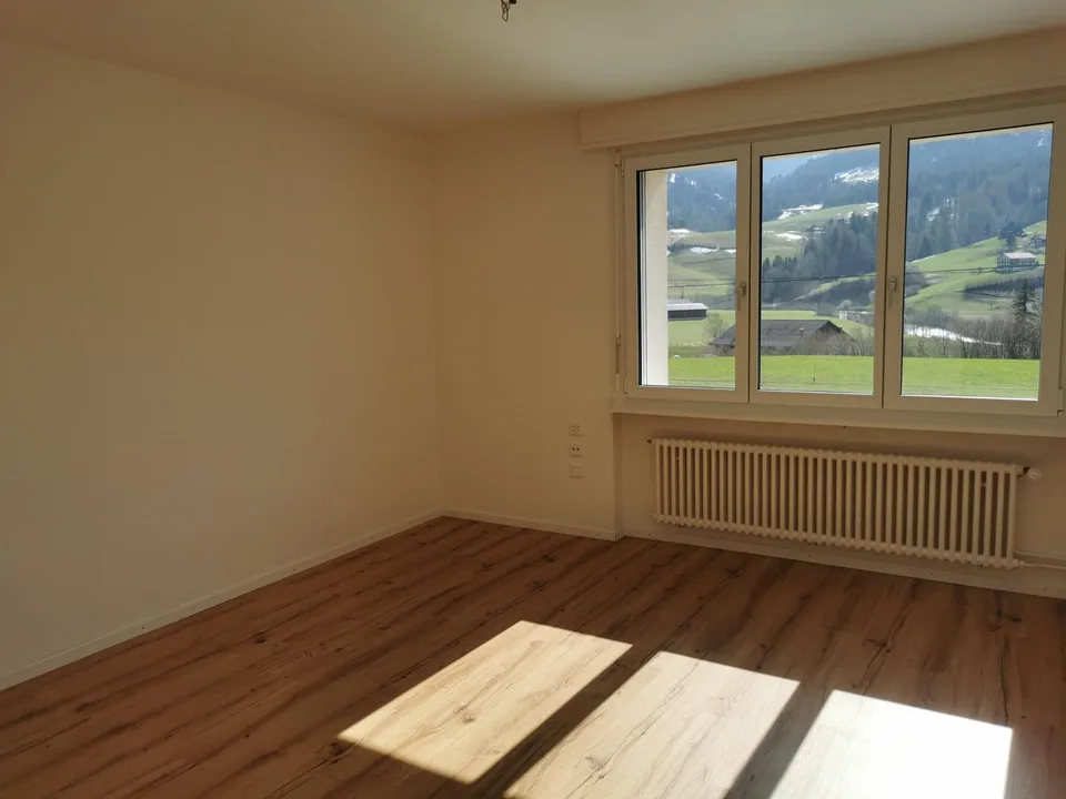 Helle 4 - Zimmerwohnung mit traumhafter Aussicht in Neu St. Johann