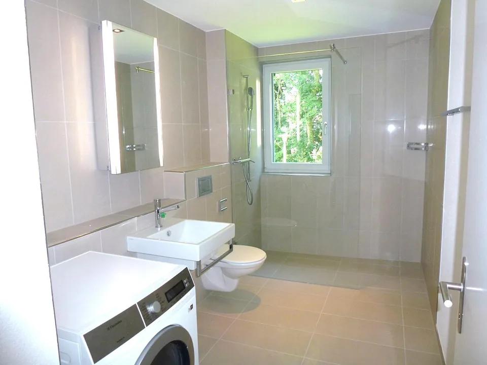 schöne Wohnung in Höngg