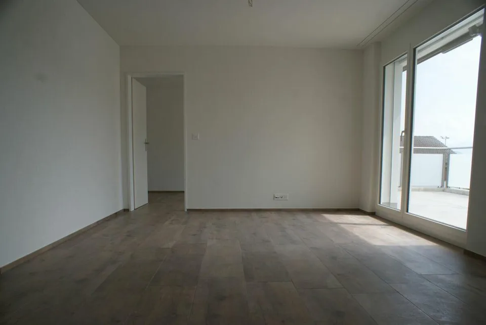 ruhige 3.5 Zi-Dachwohnung mit 20m2 Sonnenterasse
