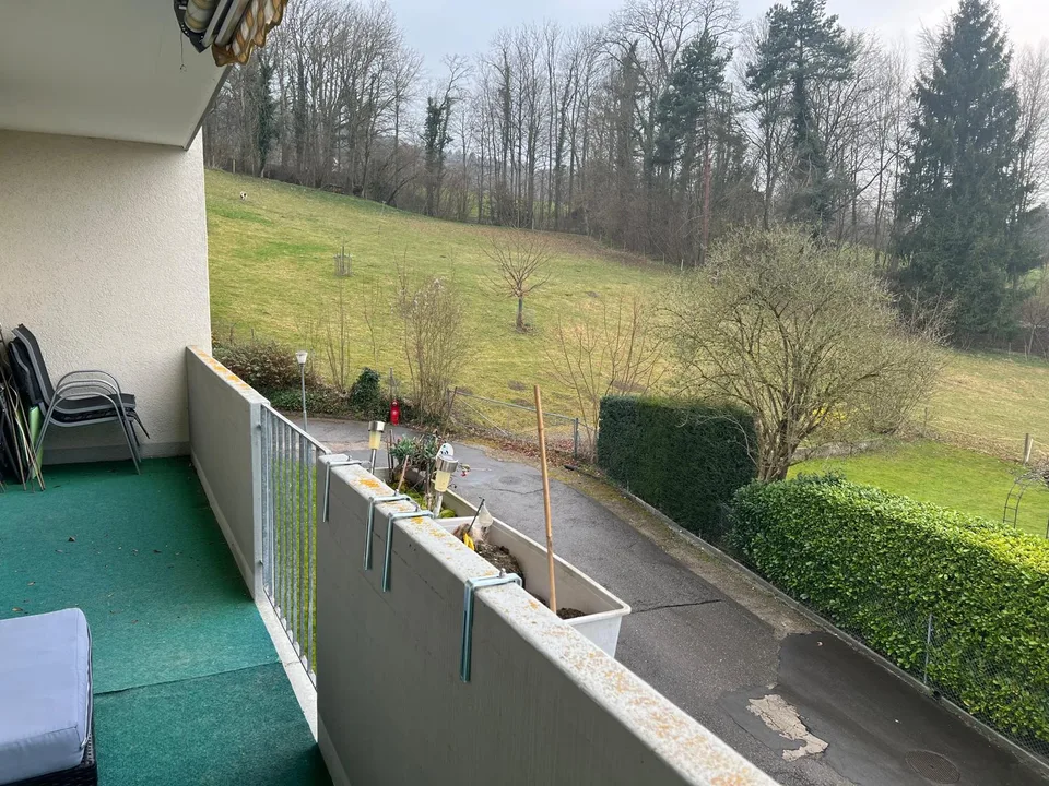 3 Zimmer Wohnung im Grünen