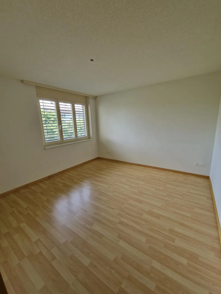 4 1/2 Zimmerwohnung