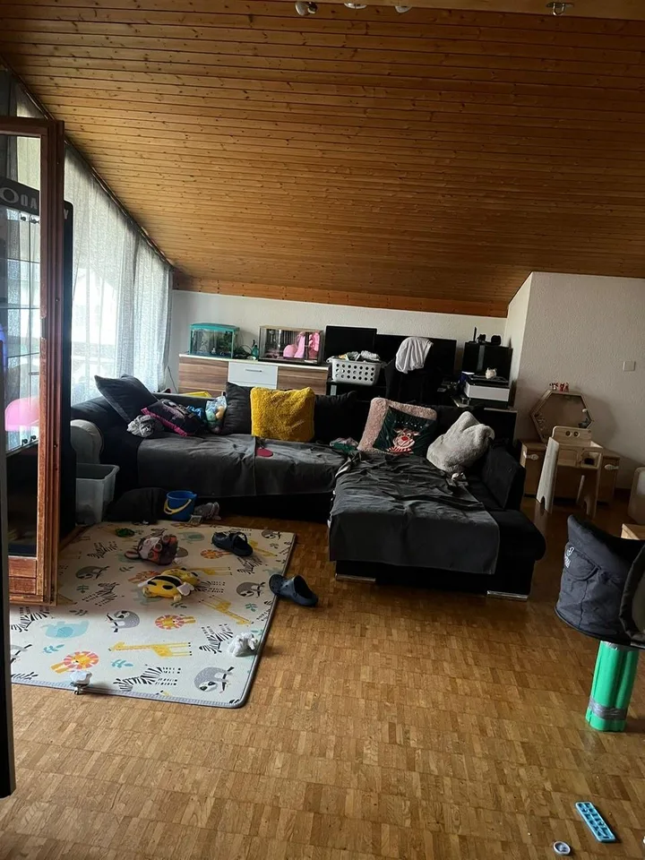 Zu vermieten in ruhigem Quartier gemütliche 3.5 Zimmer Dach-Wohnung