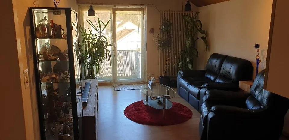 Sonnige 2 1/2 Zimmer Dachwohnung