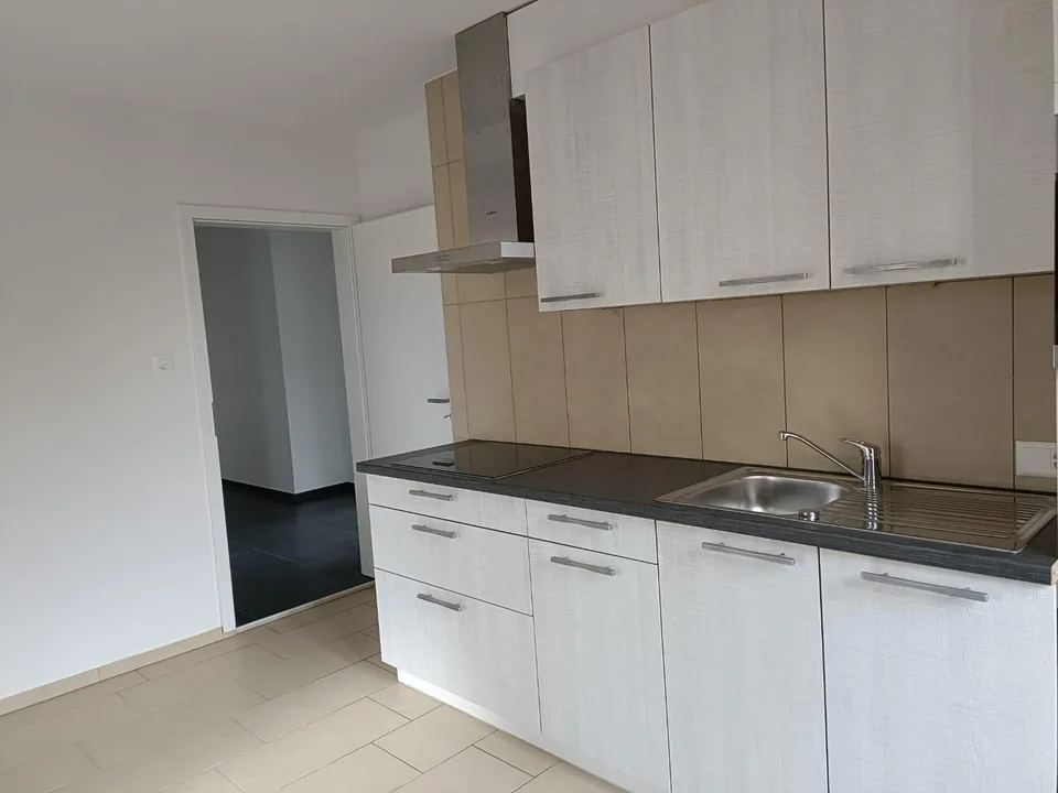 Frisch renovierte, grosszügige 4,5 Zimmerwohnung mit grosser Terrasse