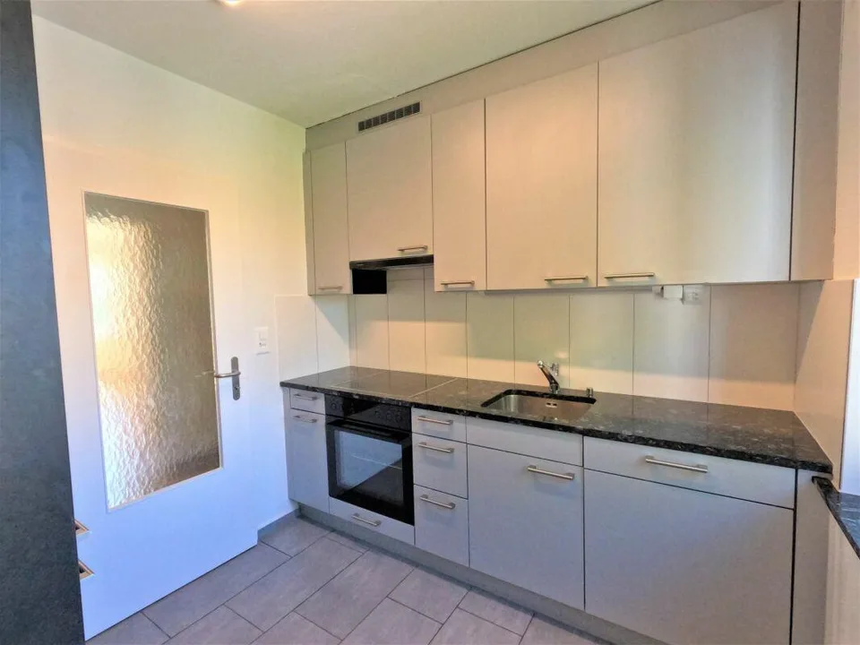 #verliebtinschaffhausen - wundervolle Wohnung mit neuer Küche, neue...