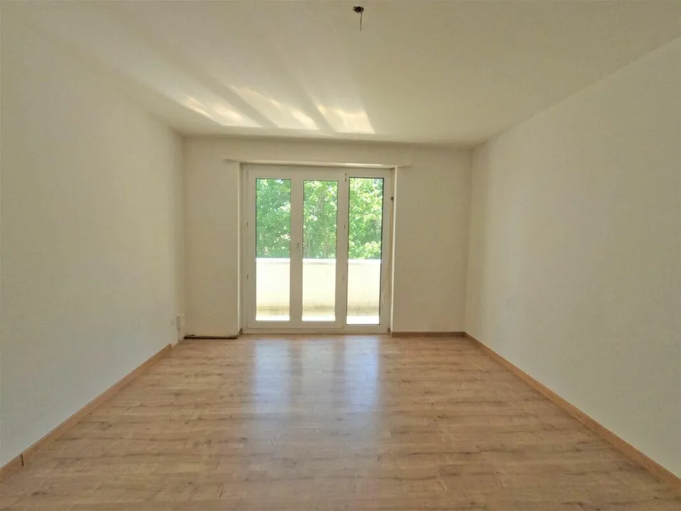 #verliebtinschaffhausen - wundervolle Wohnung mit neuer Küche, neue...