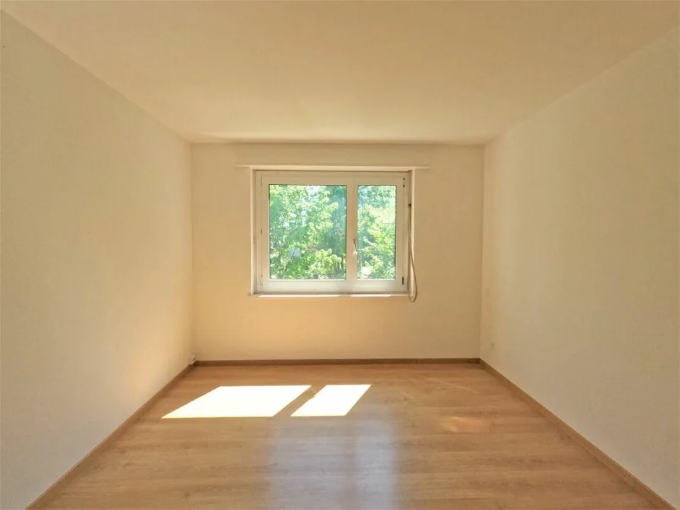 #verliebtinschaffhausen - wundervolle Wohnung mit neuer Küche, neue...