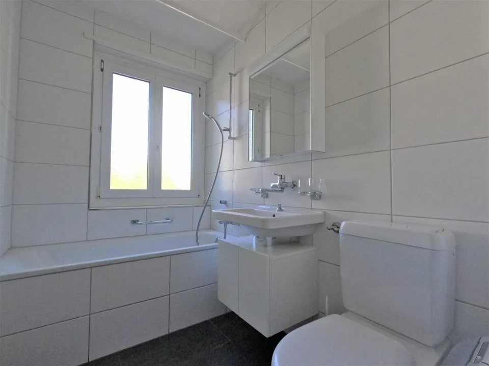 #verliebtinschaffhausen - wundervolle Wohnung mit neuer Küche, neue...