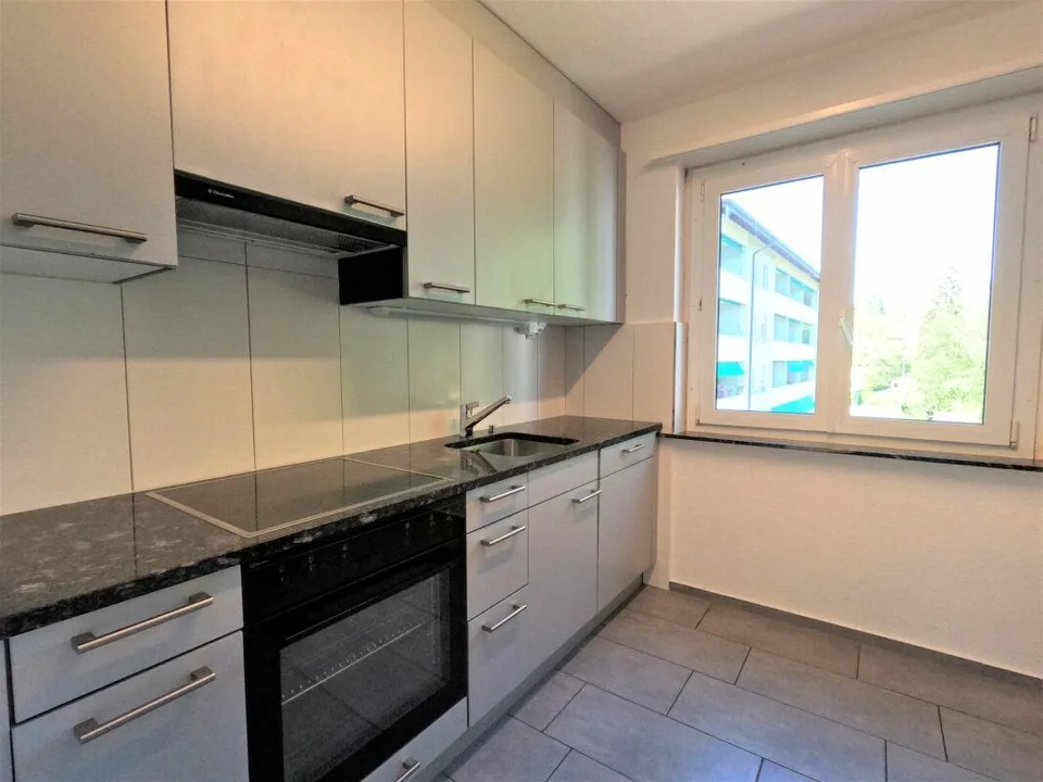 #verliebtinschaffhausen - wundervolle Wohnung mit neuer Küche, neue...