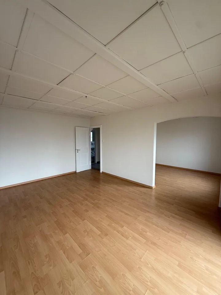 4.0 Zimmerwohnung in Schaffhausen