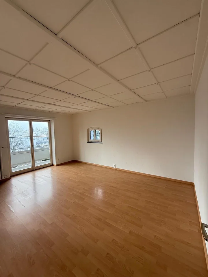 4.0 Zimmerwohnung in Schaffhausen
