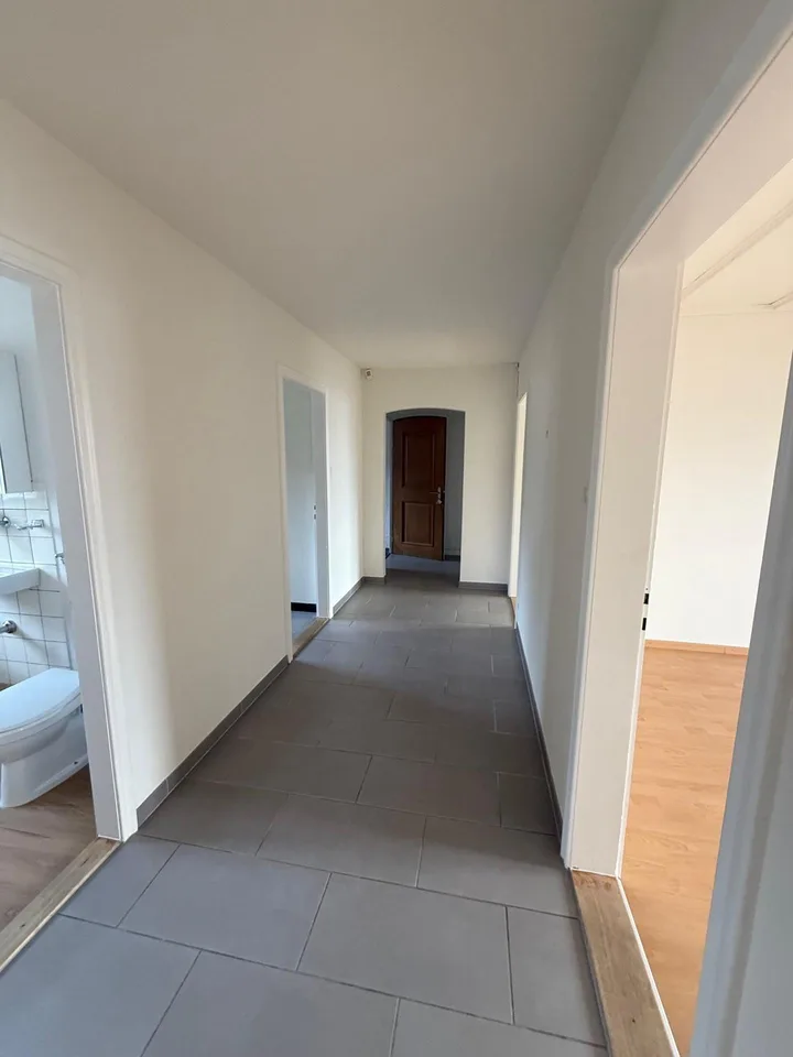 4.0 Zimmerwohnung in Schaffhausen