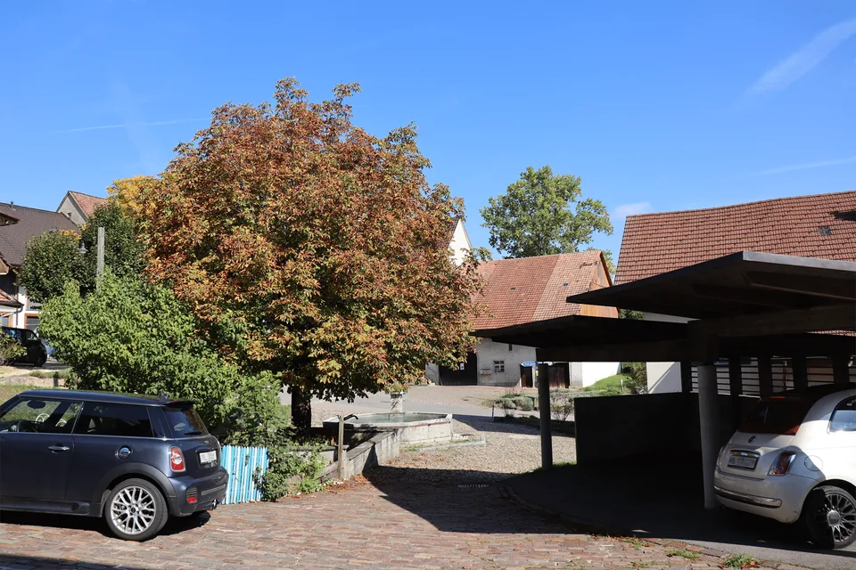 Grosszügige 4.5 Zimmer Wohnung in saniertem Bauernhaus mit Charme