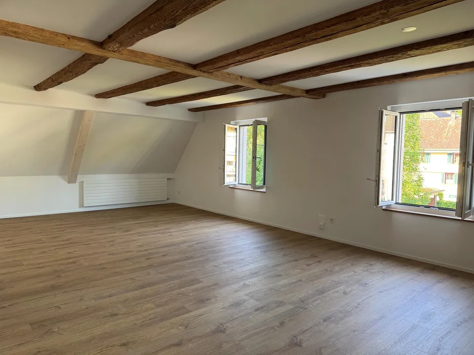 3.5 Zimmer Dachwohnung NEU