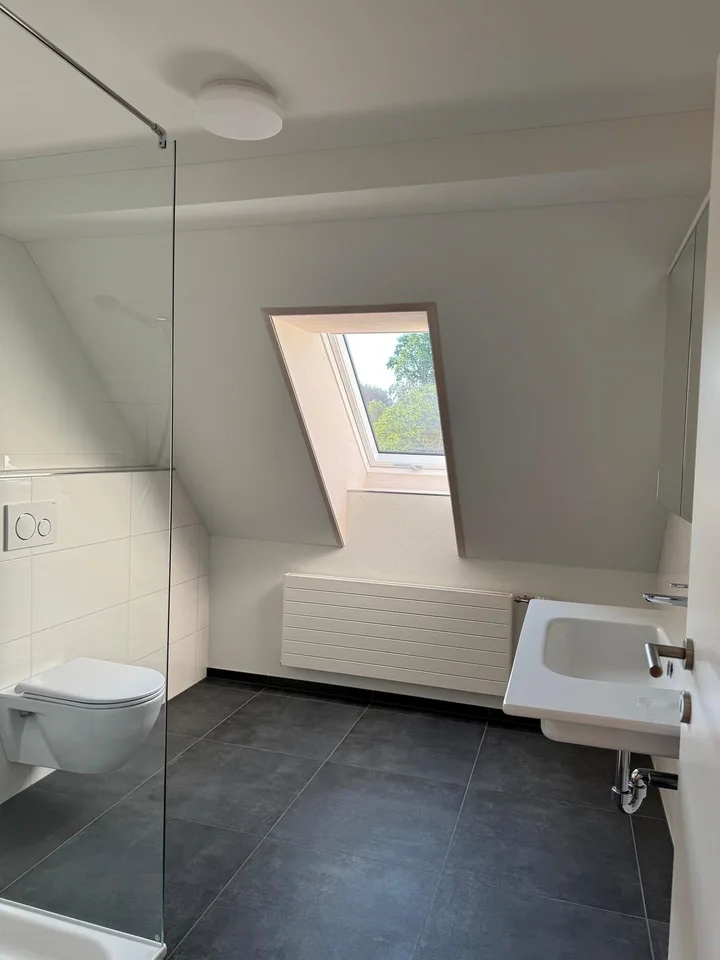 3.5 Zimmer Dachwohnung NEU