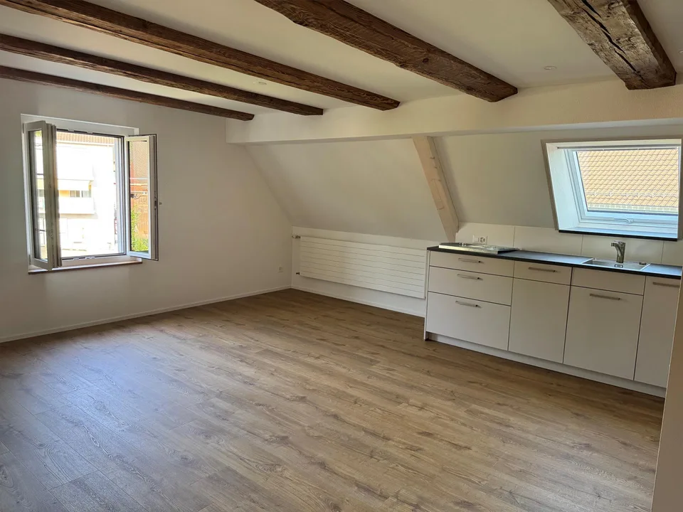 3.5 Zimmer Dachwohnung NEU