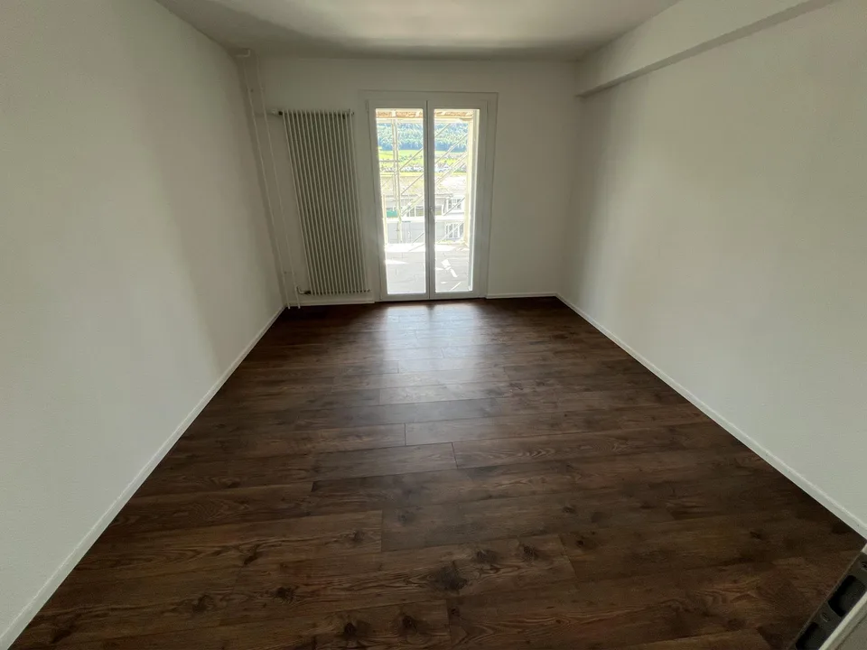 Komplett sanierte, schöne 3.5 ZWG mit grossem Balkon