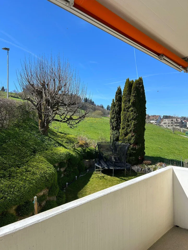 6.5 Zimmerwohnung in Wädenswil
