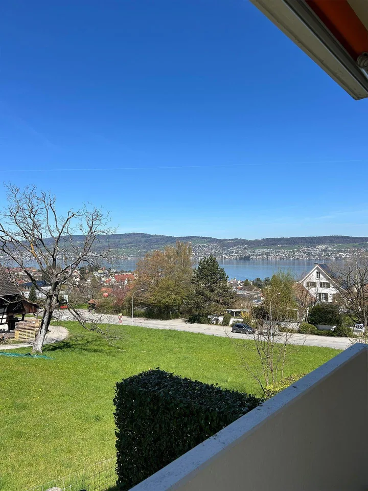 6.5 Zimmerwohnung in Wädenswil
