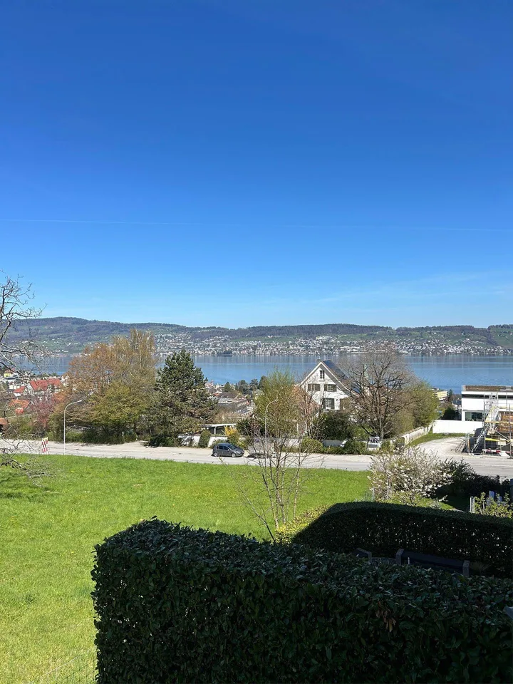 6.5 Zimmerwohnung in Wädenswil