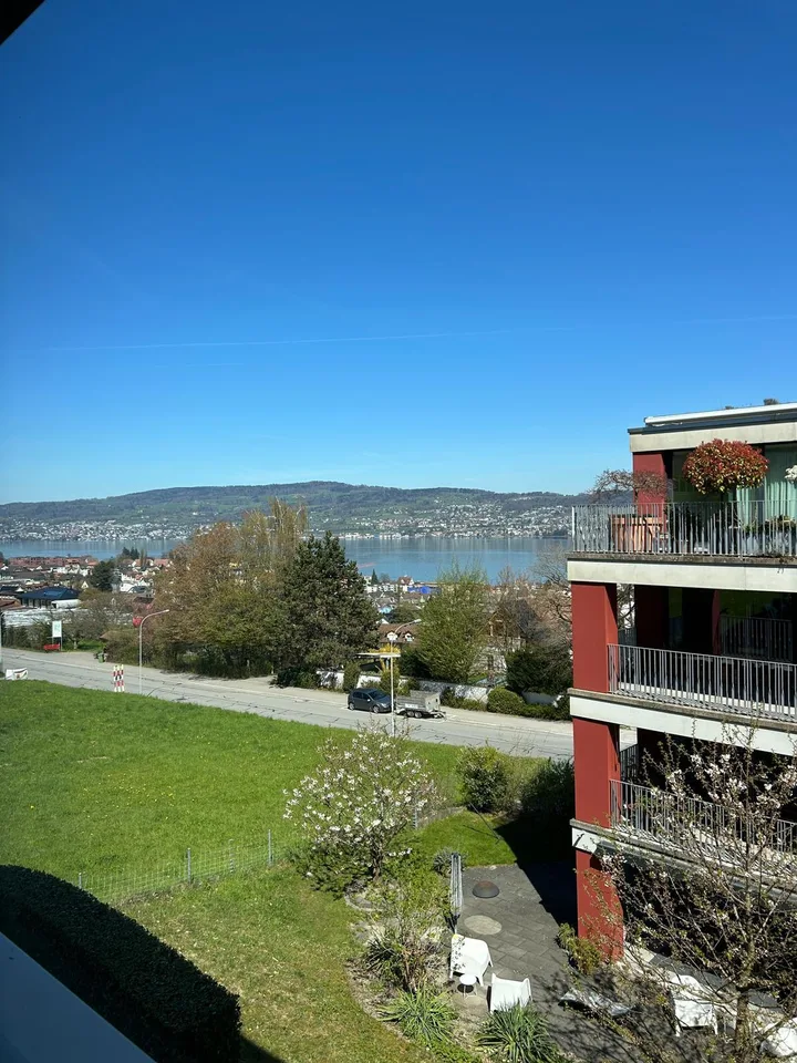 6.5 Zimmerwohnung in Wädenswil