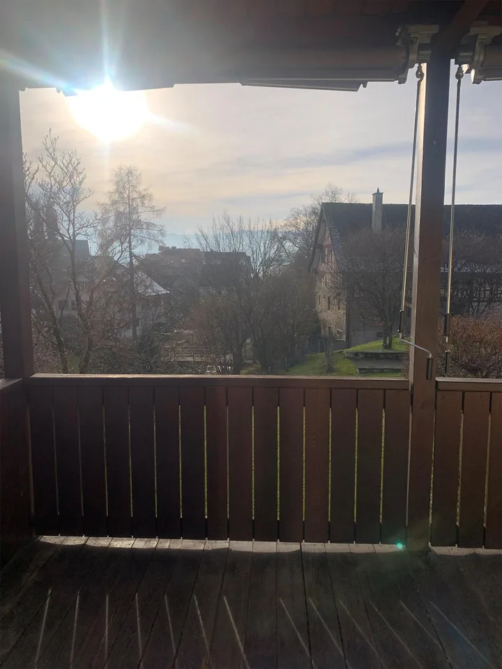 5.0 Zimmerwohnung Im Dorfkern In Meilen