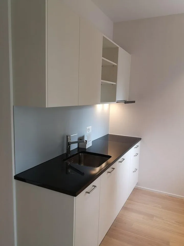 Moderne 1.5-Zimmer-Wohnung mit grosszügigem Balkon