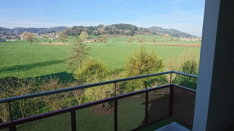 Sonnige 4.5 Zi-Wohnung im 1. OG mit unverbaubarer Aussicht ins Grüne