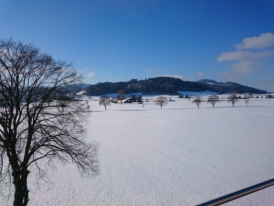 Sonnige 4.5 Zi-Wohnung im 1. OG mit unverbaubarer Aussicht ins Grüne