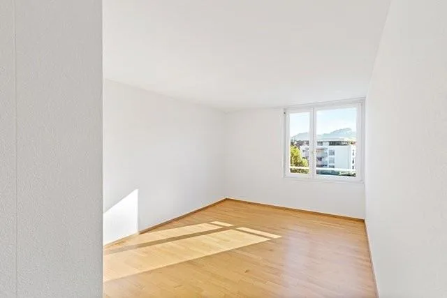 Grosszügige, moderne Wohnung mit viel Sonnenlicht
