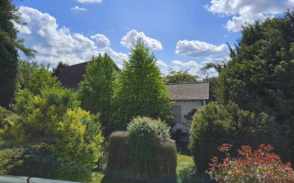 Ruhiges, helles Stadthaus Obergriesenstrasse 14, 8500 Frauenfeld