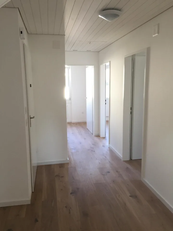 4.5 Zimmer-Dachwohnung