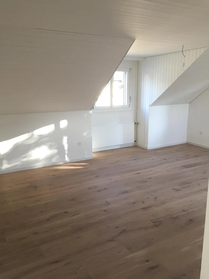 4.5 Zimmer-Dachwohnung