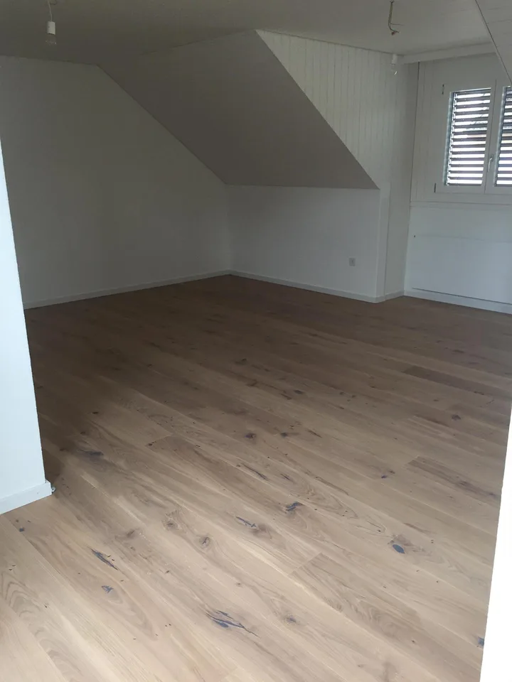 4.5 Zimmer-Dachwohnung