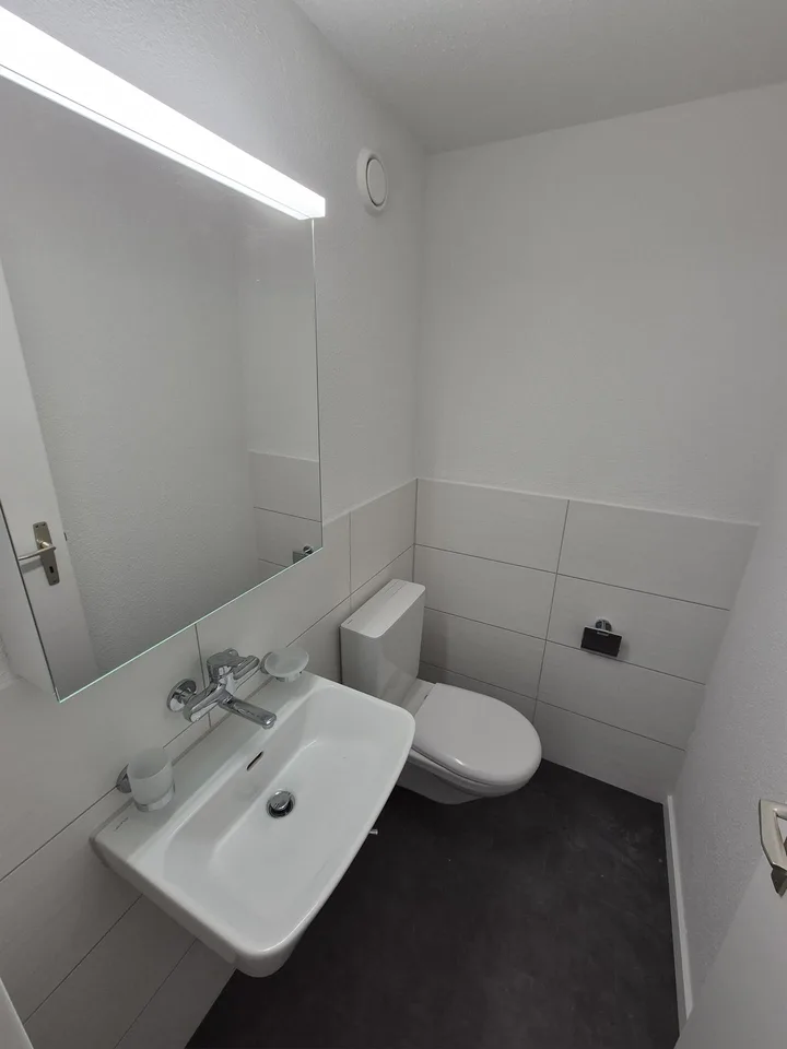 5 1/2 Zimmer-Wohnung