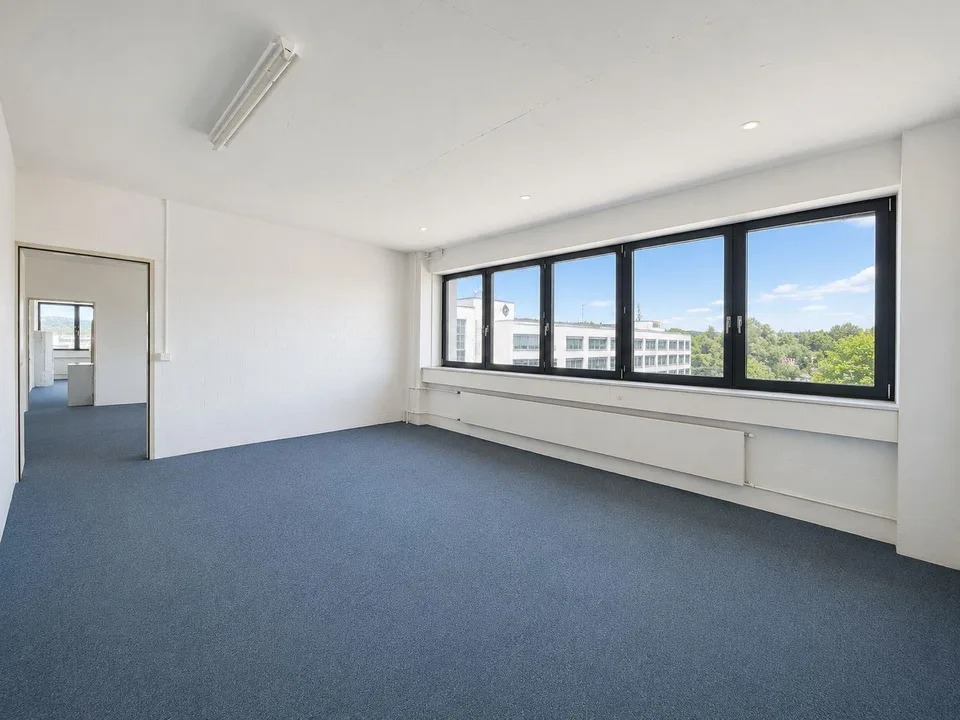 Ganzer Gebäudeteil und ca. 1'500 m² Aussenfläche verfügbar! – foto 10 di 15