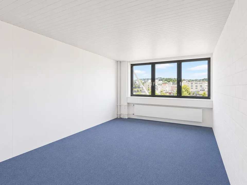 Ganzer Gebäudeteil und ca. 1'500 m² Aussenfläche verfügbar! – foto 13 di 15