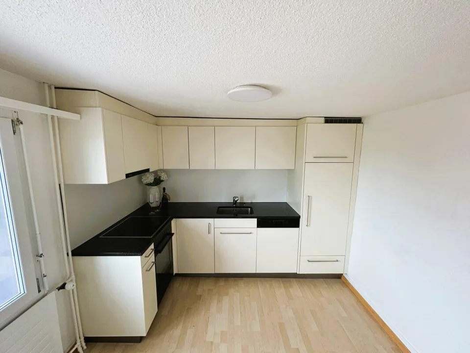 Wohnen mit grosser Sonnenterrasse